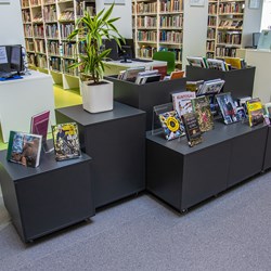 Maria Display und Trog