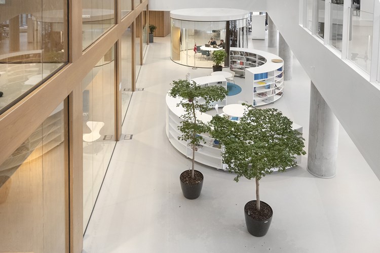 Unternehmens- bibliothek