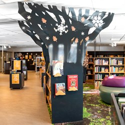 Guldborgsund Bibliothek, Dänemark
