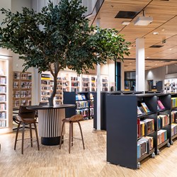 Åsane Bibliothek, Norwegen
