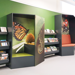 Biophiles Bibliotheksdesign