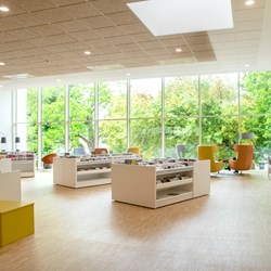 Biophiles Bibliotheksdesign