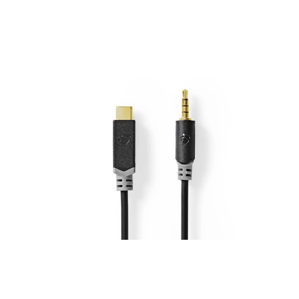 E3875 - Mini Jack zu USB-C
