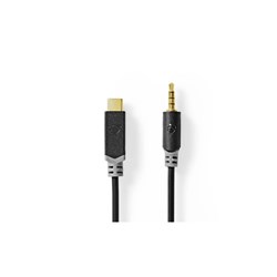 E3875 - Mini Jack zu USB-C